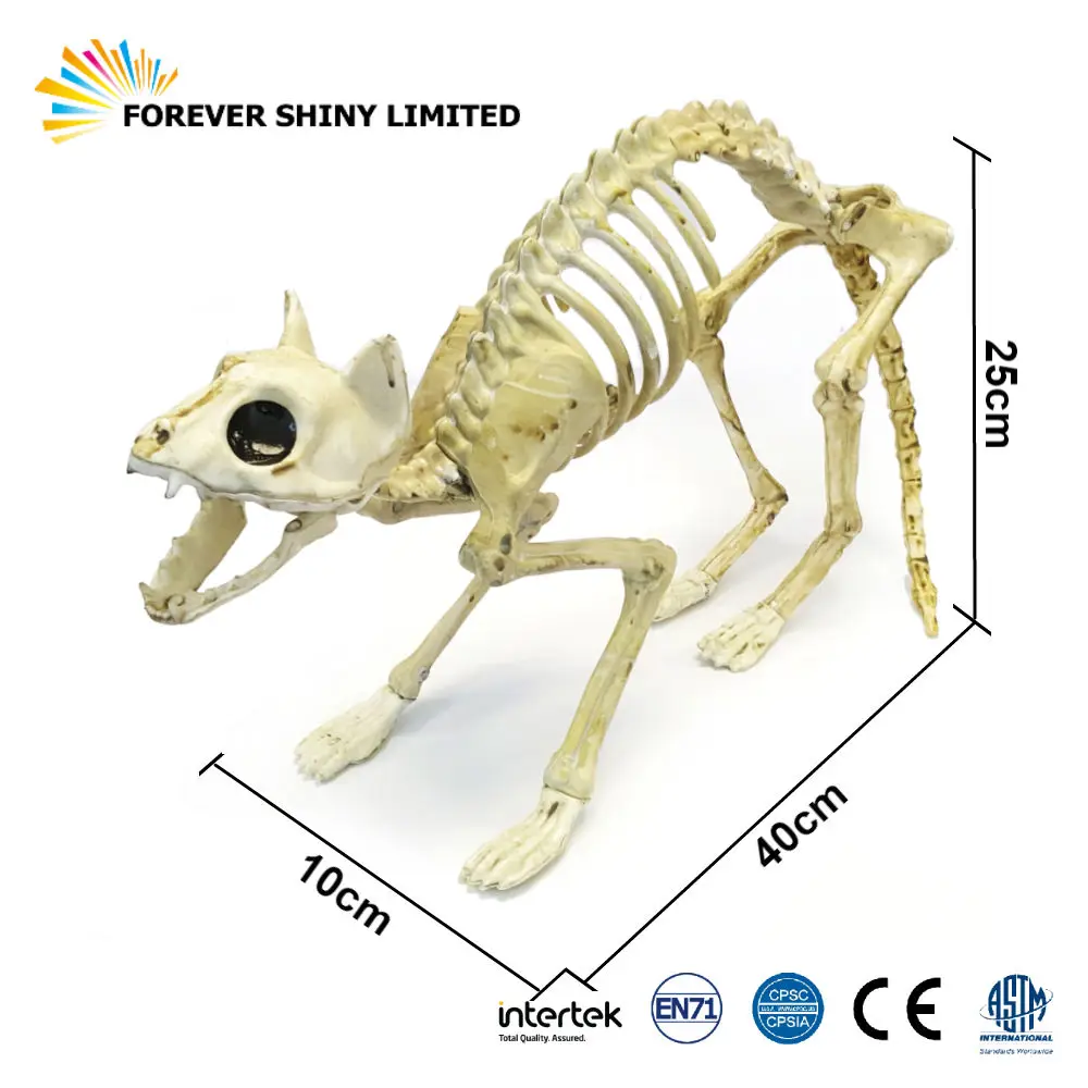 Detailed Realistic Miniature Unique Novelty Model Toy Animal Halloween Plastic Movable Skeleton Cat and Rat Figurine Set