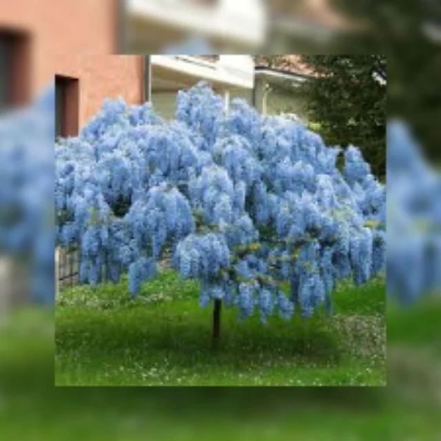 2020 Christmas Plants Faux Fiberglass Artificial Cherry Blossom Tree With Factory Price