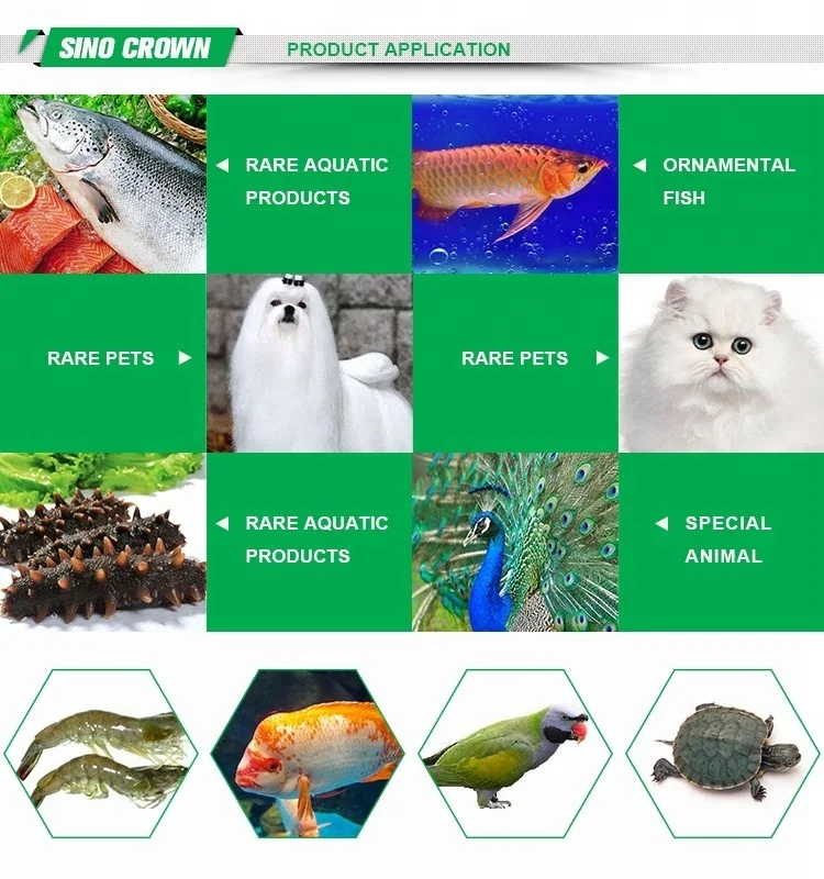  Pure Fatty Oil Pet Feed Anti-oxidation Mealworms