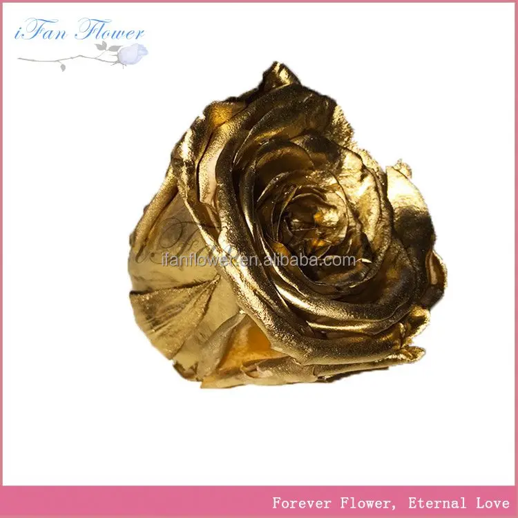 China gold manufacturer useful popularity items freeze dried real touch roses