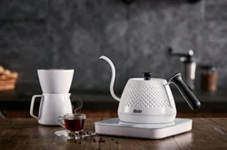 Richy Fashion Boutique High Quality 304 Stainless Steel Traditional Handmade Coffee Maker Variable Temperature Kettle