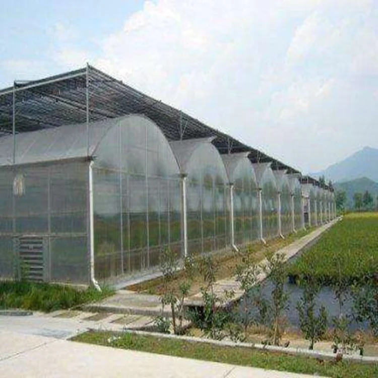 
Large multi-span polycarbonate and galvanized steel griculture greenhouse kit tunnel with hydroponic system 