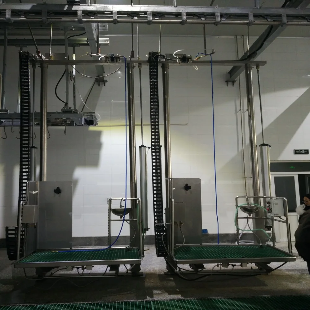 
10-30 Per day Cattle Butcher Line for Meat Beef Production Processing 
