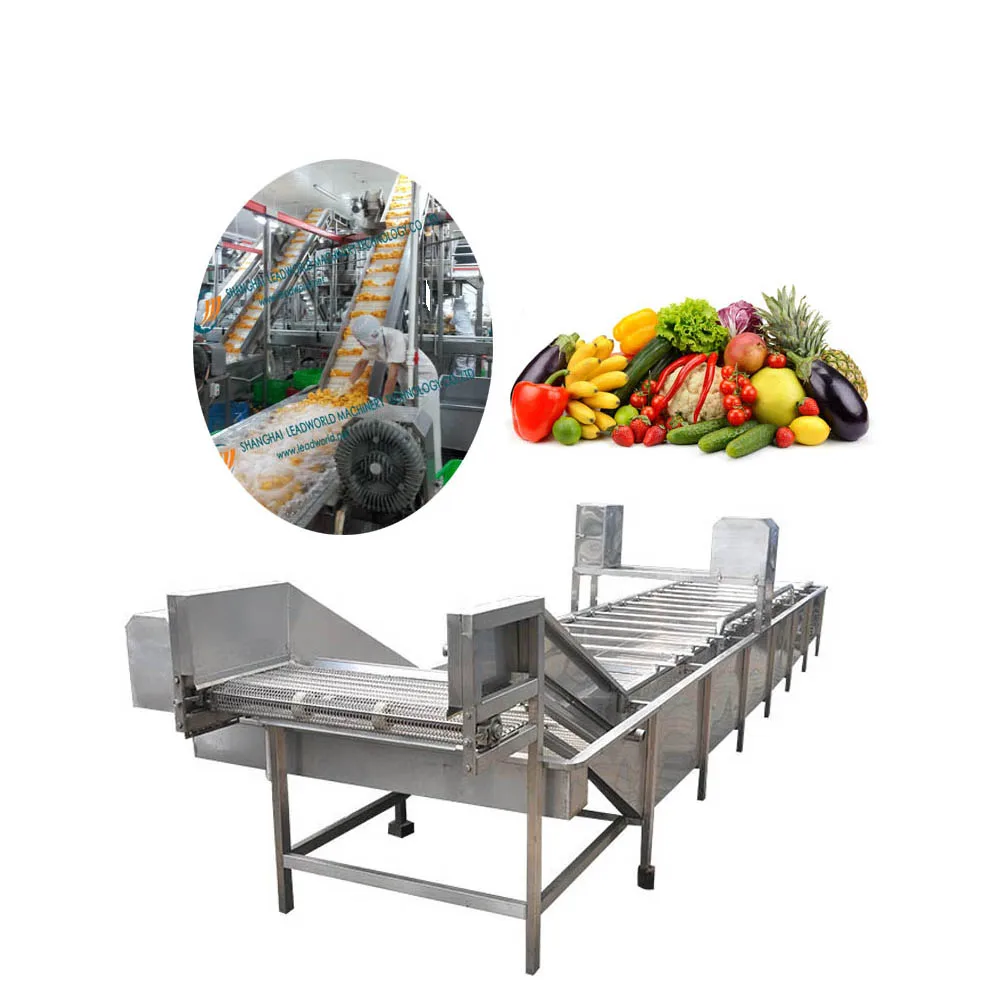 newest products vegetable washing machine