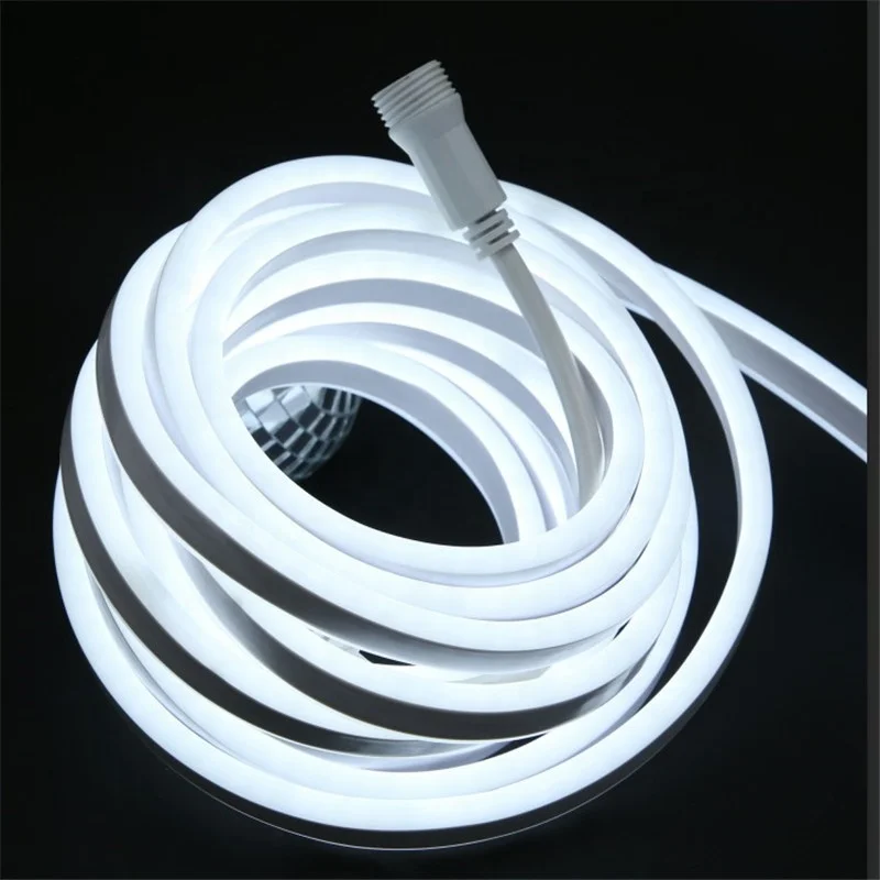 hot sales christmas custom double side rgb led neon flex 12v 24V 120V 220v waterproof flexible led neon light