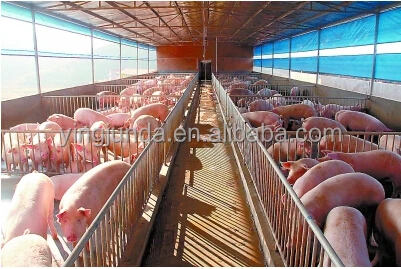hot dip galvanized Pig fattening crate poultry equipment