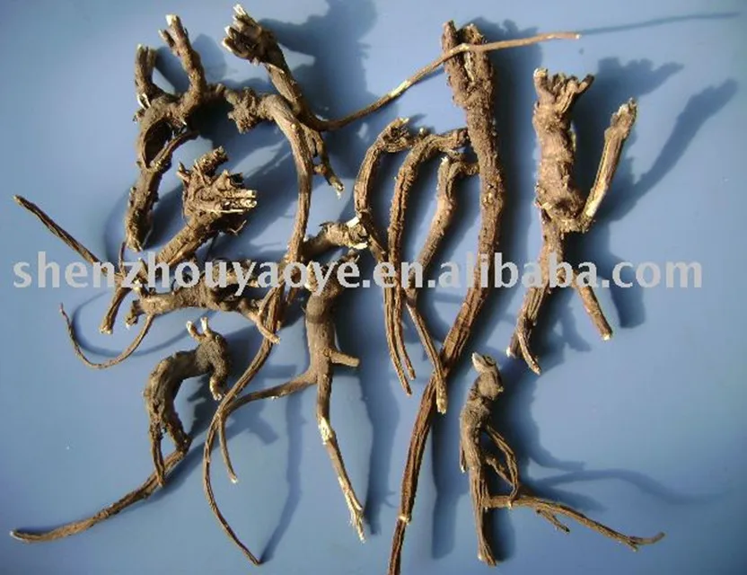 
Wholesale price Lower blood fat Chinese Medicinal herb radix bupleuri (Chaihu) 