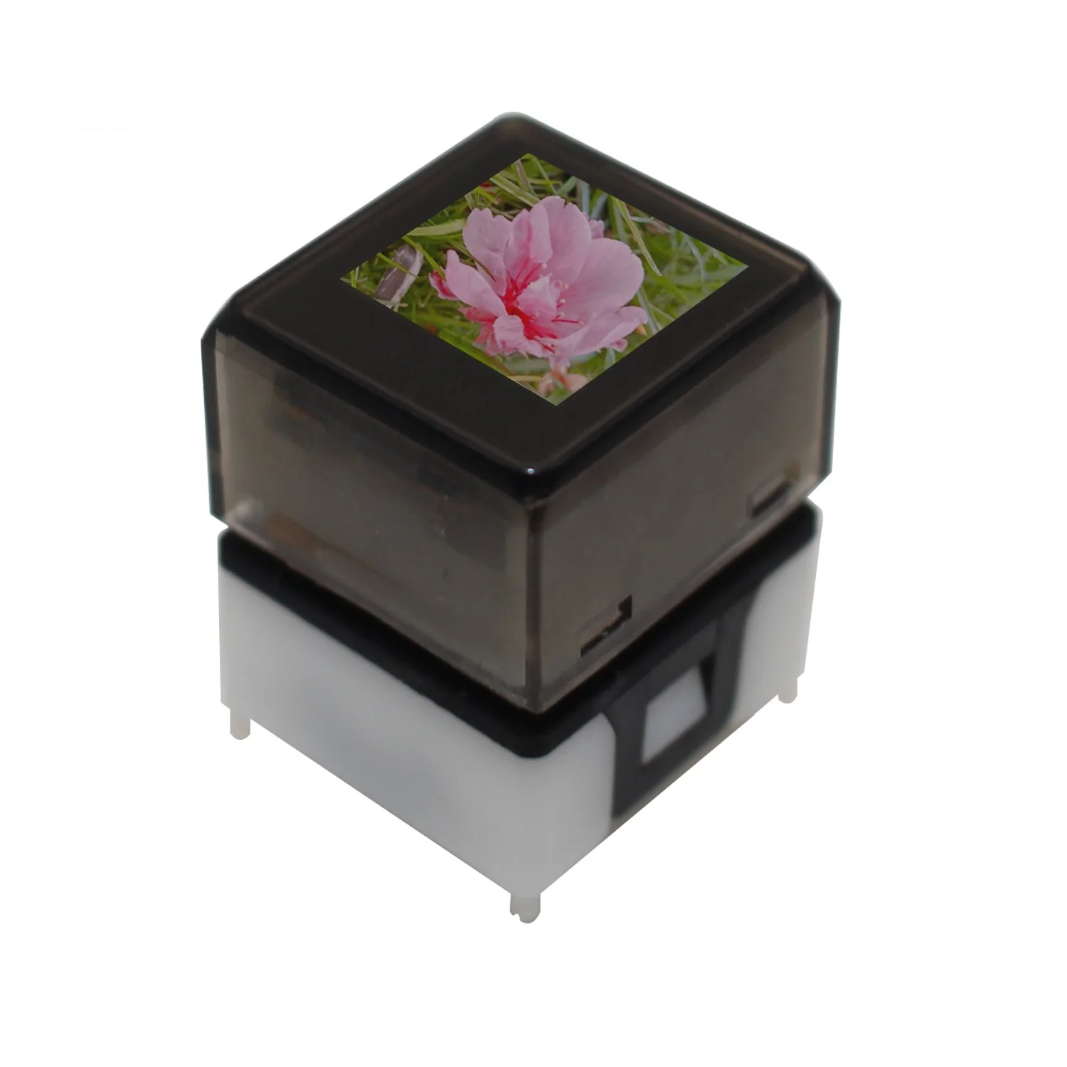 Lakeview цветная (RGB) светодиодная подсветка non замок 1 полюс ЖК дисплей экран мгновенный программируемый кнопочный переключатель