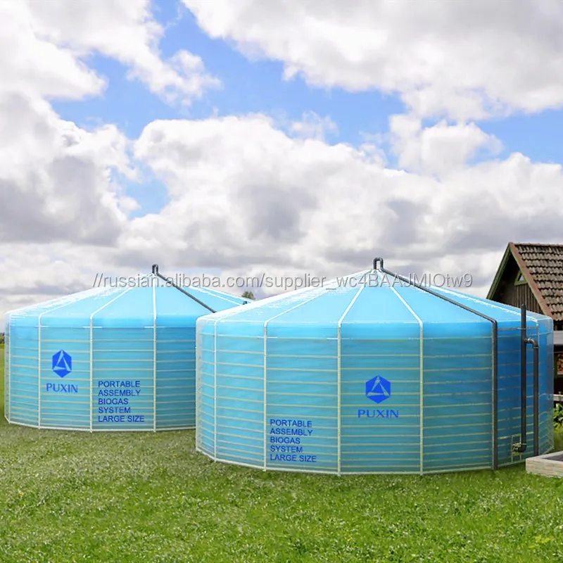 PUXIN Портативные Сборочных Биогазовая установка для Сельскохозяйственных Отходов