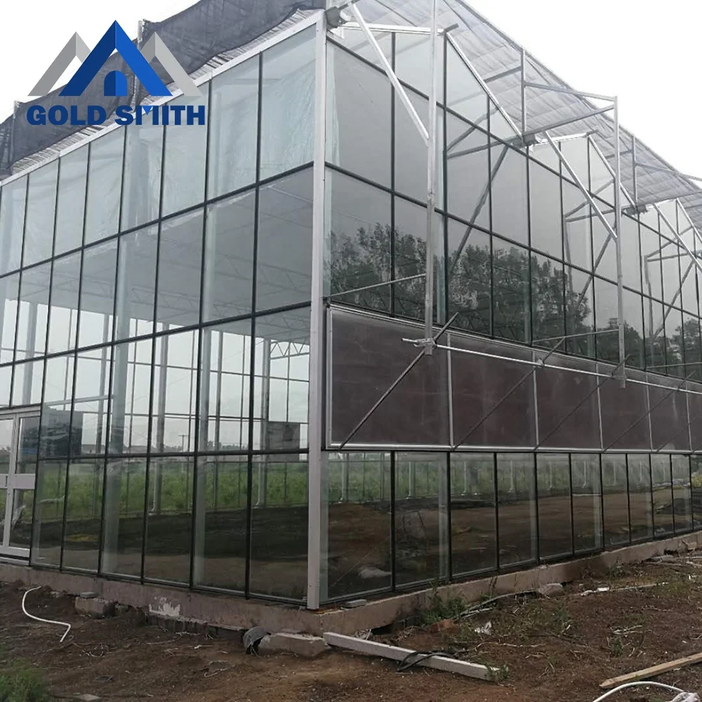 Customized Venlo Type Steel Tube Agriculture Greenhouse with Cooling Equipment