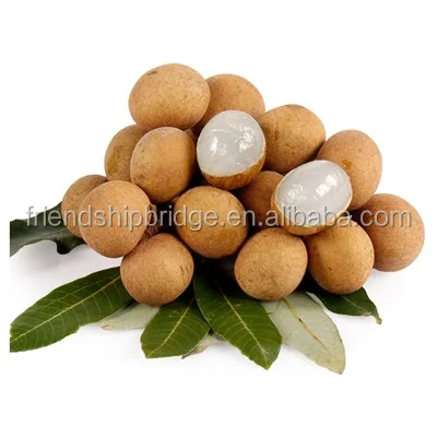 Питомник растений dimocarpus longan фрукты рассада