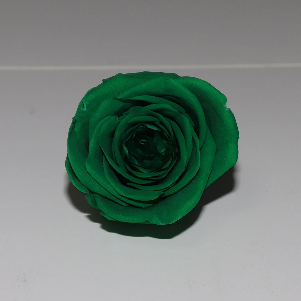 All occasions roses head preserved fresh flower rose for sale