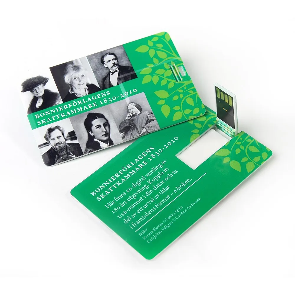 promotional 2GB usb card memory usb disk on key