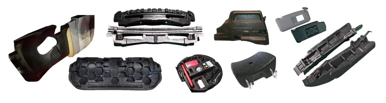 EPP auto application2