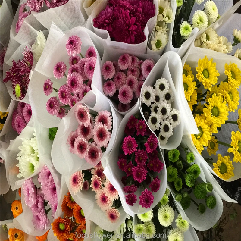 
Hot Sell Small Sprayed Chrysanthemum Fresh Cut Flowers Wholesale from CN;YUN 100% T/T Grade a 10 Stems/bunch 2 Working Days 