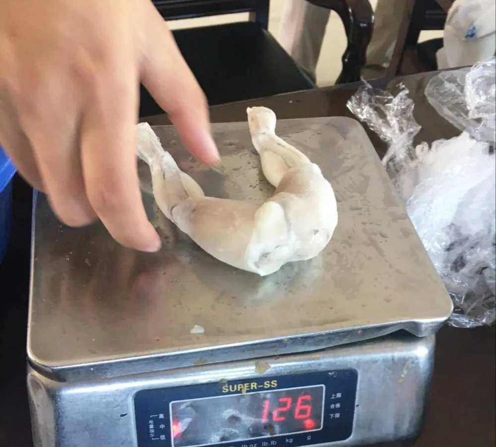 
Frozen High Quality Bull Frog Legs for sale 