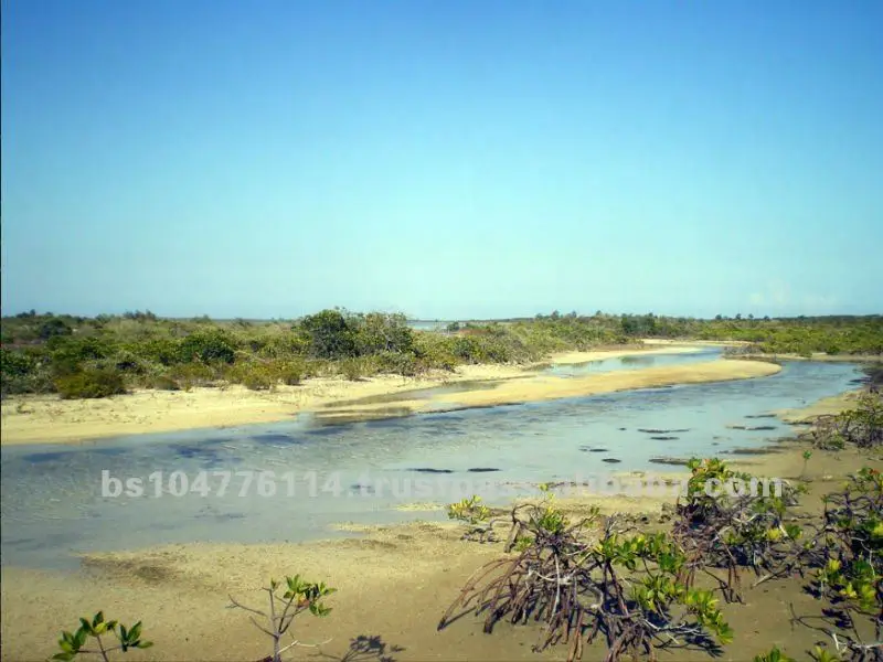  20% skidka na vse lotes