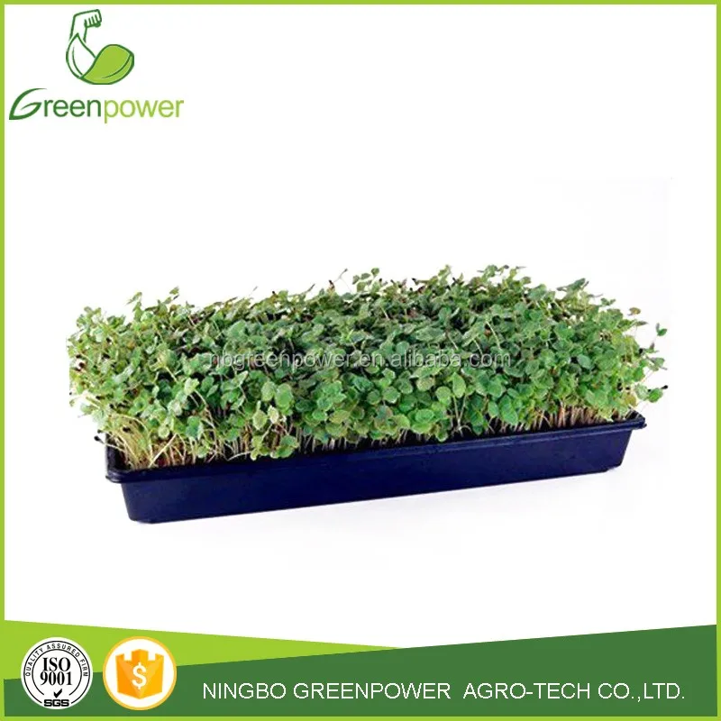 Flat Plant Growing Trays/Seed Starter Trays Grow