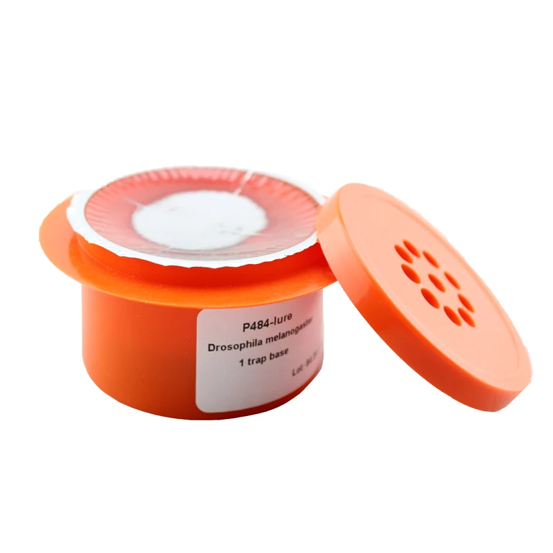 Common fruit fly Drosophila melanogaster pheromone lure