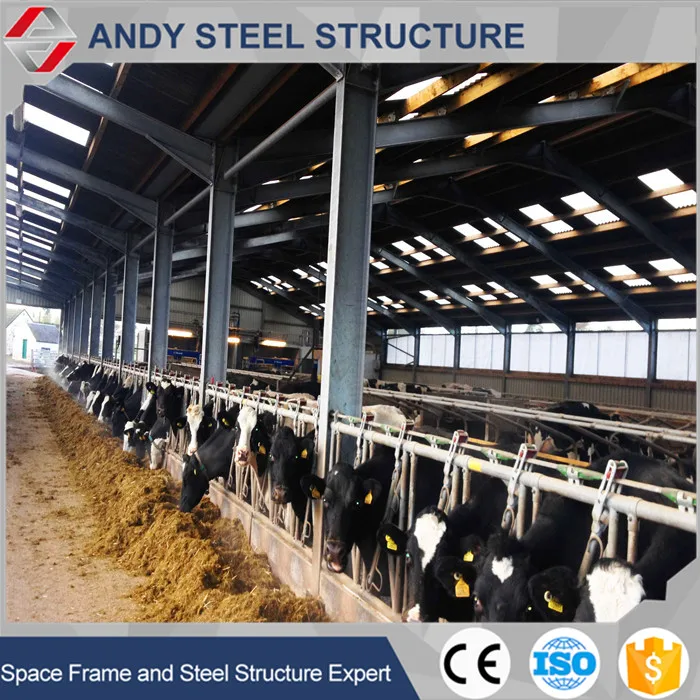 Prefab steel structure dairy cow shed farm