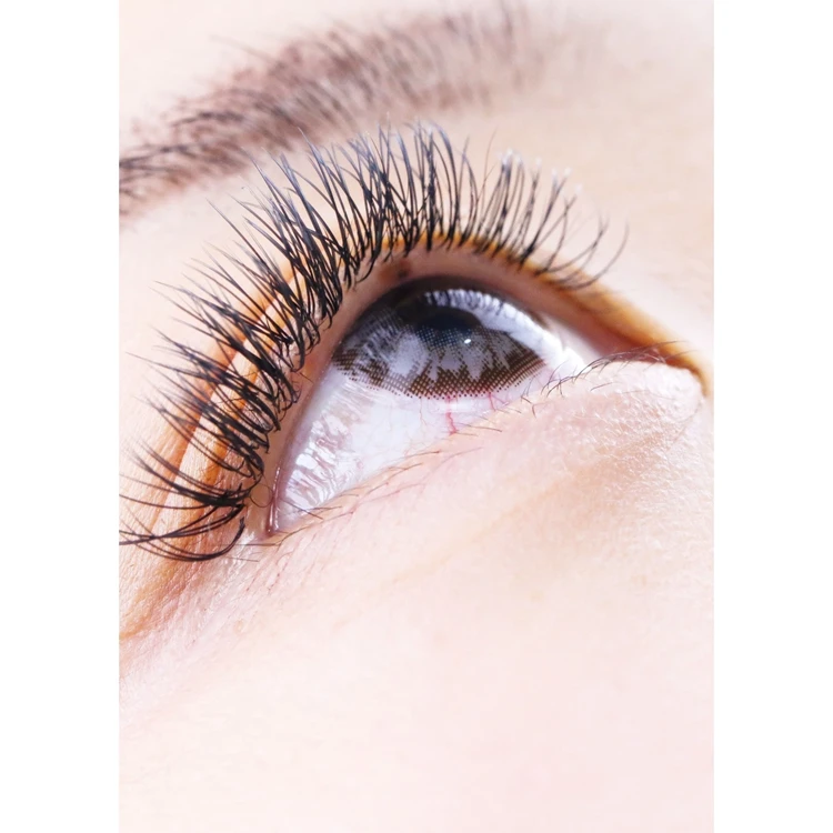 Lively D+ Curl Split Tips Flat Eyelash Extension Wholesale 0.12