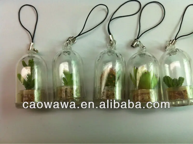 
Plant Pet Tree , mini greenhouse , table garden 