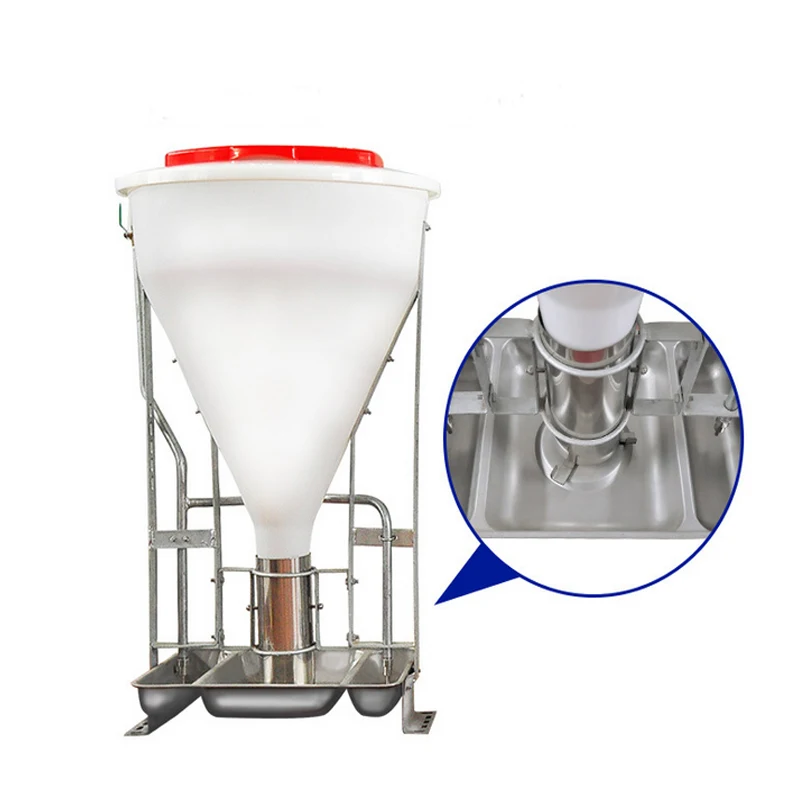 Durable pigs equipment automatic plastic trough dispenser 5L Pig Dry Wet Feeder