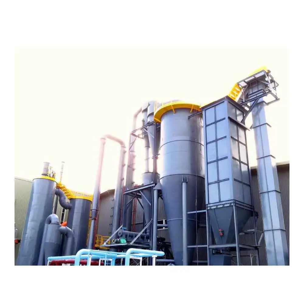 Biomass Gasification System