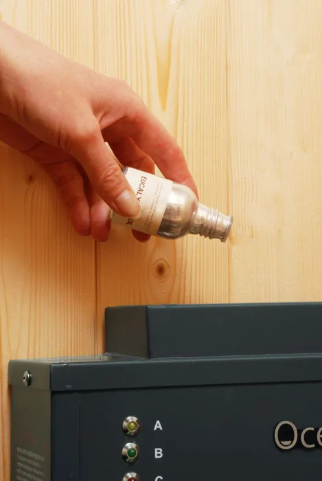 Hot sale fragrance aroma   Mini steam generator 1KW for sauna room