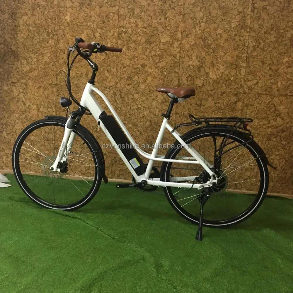 
Country woman, canada electric ebike with speedometer 