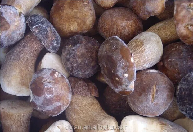 
Detan Wholesale Frozen Wild King Bolete Mushrooms Export Price 