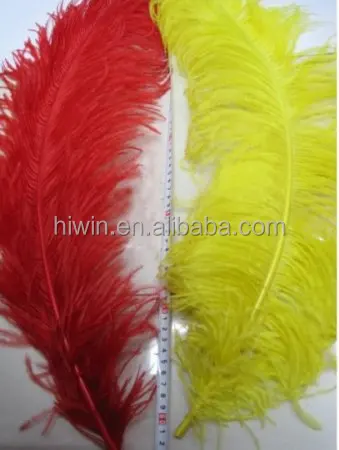 China Wholesale 60-65 cm Large Ostrich Plumes feather for  for wedding centerpiece decoration