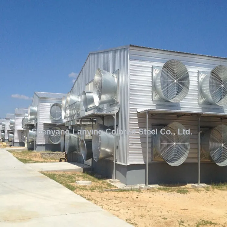 Light Steel Poultry Farming Chicken Sandwich Panel Door or Rolling Door Steel Frame Structure Layer Poultry Farming PVC Window