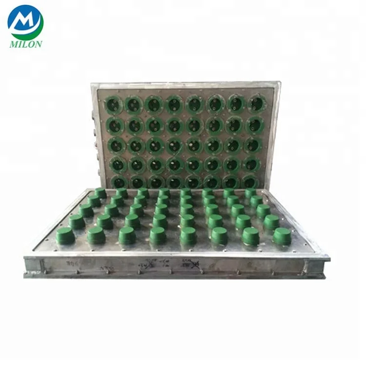 Золотой поставщик пресс-форм для пенополистирола