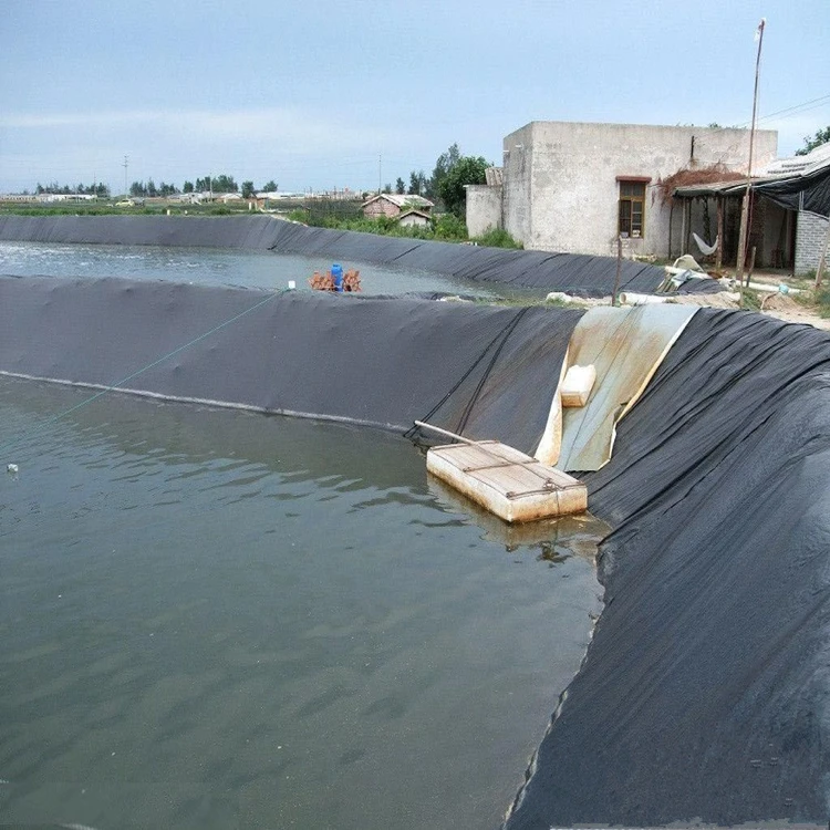 1.0mm HDPE/LDPE/PVC/EVA pond liner Geomembrane for Waste Water Treatment