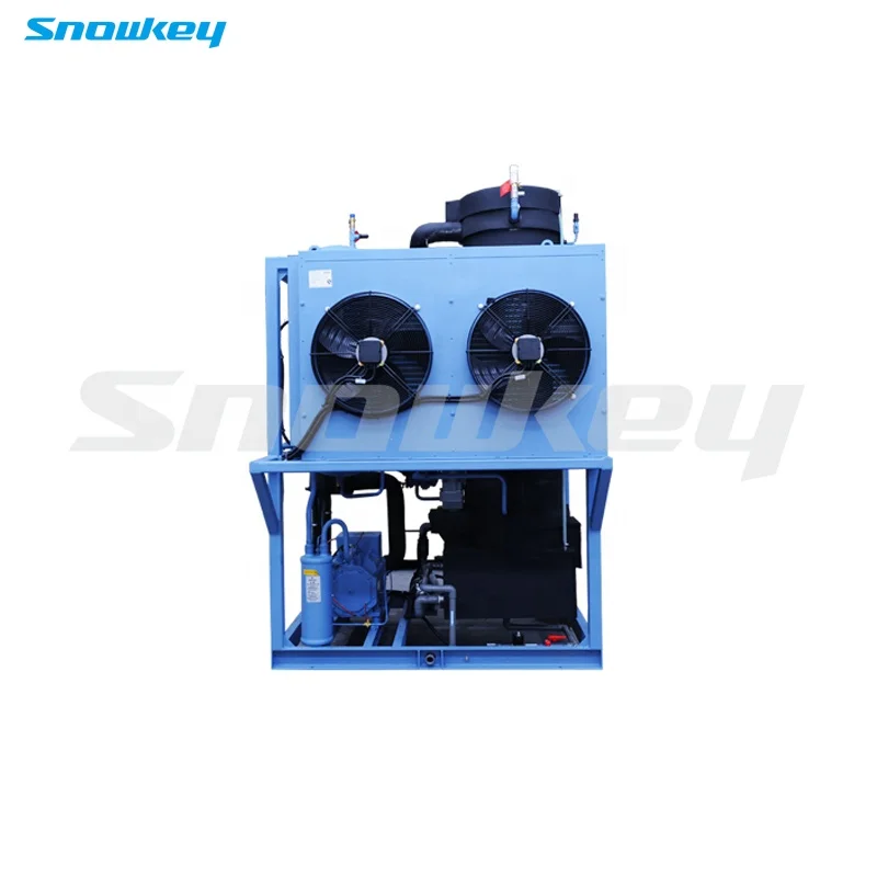 
Snowkey 3 Ton Best Quality Tube Ice Machine for Malaysia 