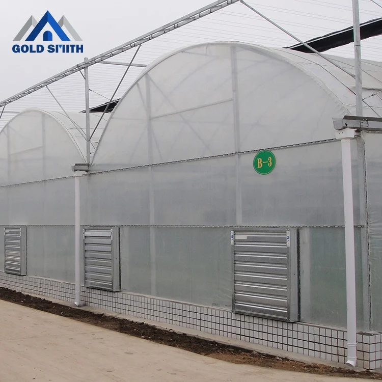 Gold Smith Intelligent Plastic Film Greenhouse Steel Structure for Vegetable Planting