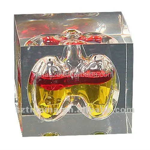 
Acrylic Stomach Paperweight Liquid Filled Paperweight Factory 
