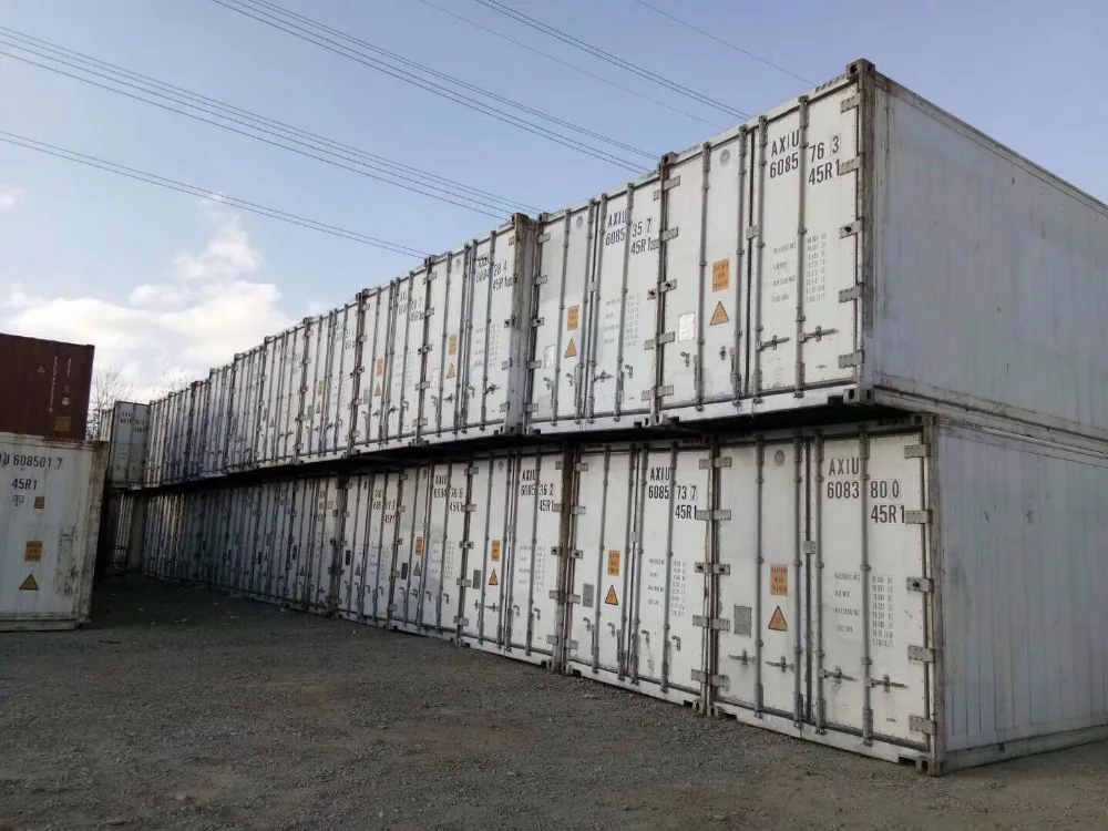 20ft used reefer container for sale with goods