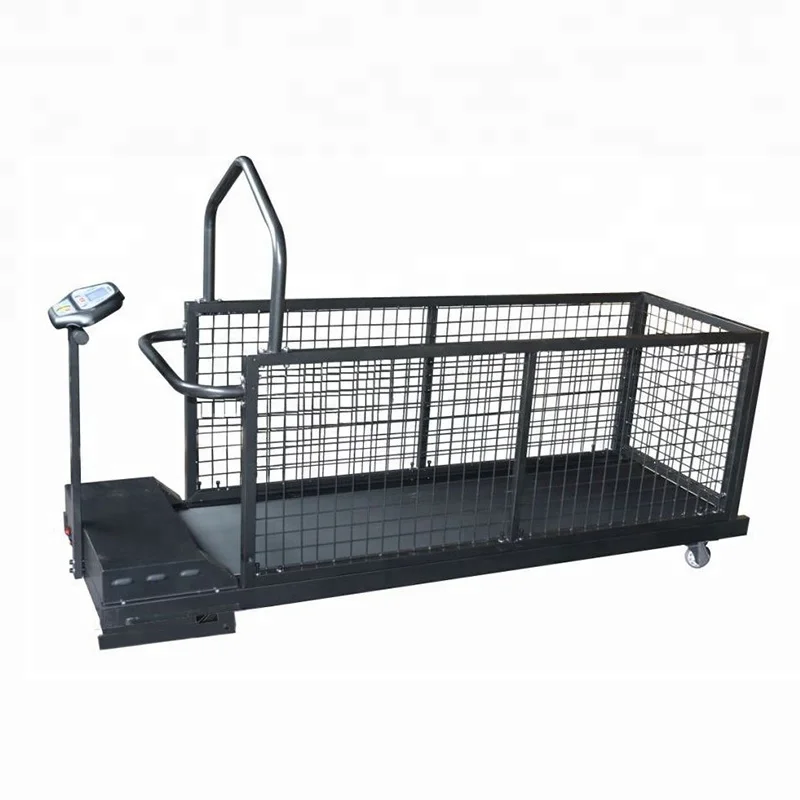 Electric Machine Dog Training Running Equipment Other Pet Products Steel Pipe PVC 0.8~20km/h 1700*460 Mm for Dogs 06-0699 110 KG