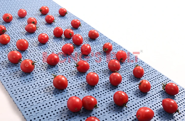 Modular Conveying Belt for Fruit Inclining Conveyor Plate Top Plastic Straight Conveyor Food and Non-food Industry HONGSBELT 15%