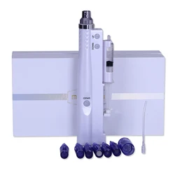 2 in 1 Mini Water Mesotherapy Injector Nano Derma Pen Electric Microneedle Pen For Skin Rejuvenation Beauty Machine