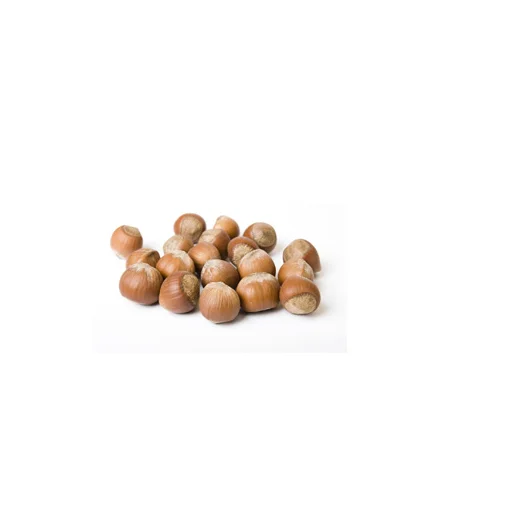 Hazelnuts With High Quality
