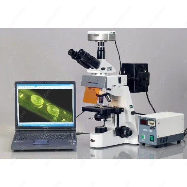 AmScope Supplies 40x-2500x Infinity Extreme Widefield EPI-Fluorescent Microscope
