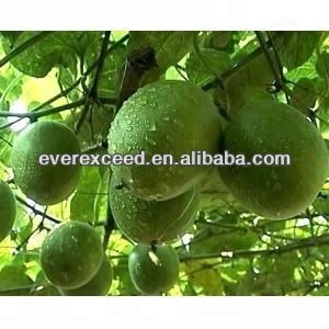 
hot sales Luo Han Guo P.E. 