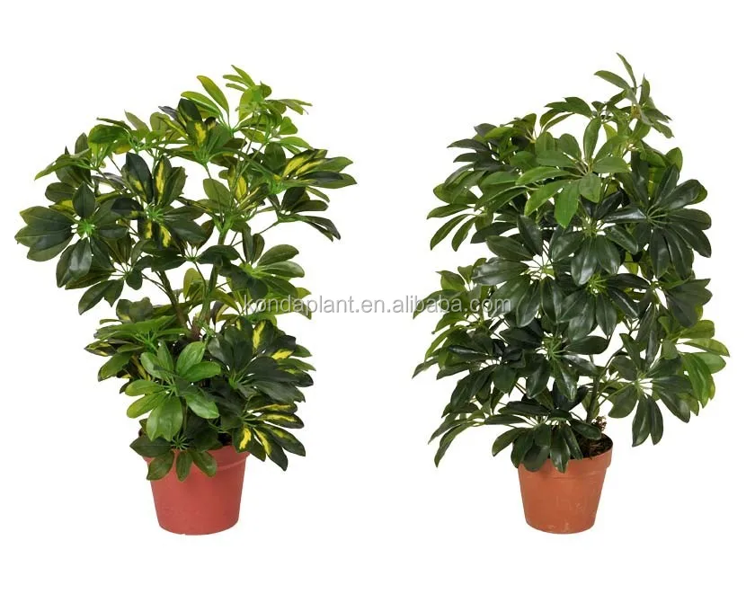 Искусственные Зеленые Растения дешевые искусственное дерево декоративные комнатные растения