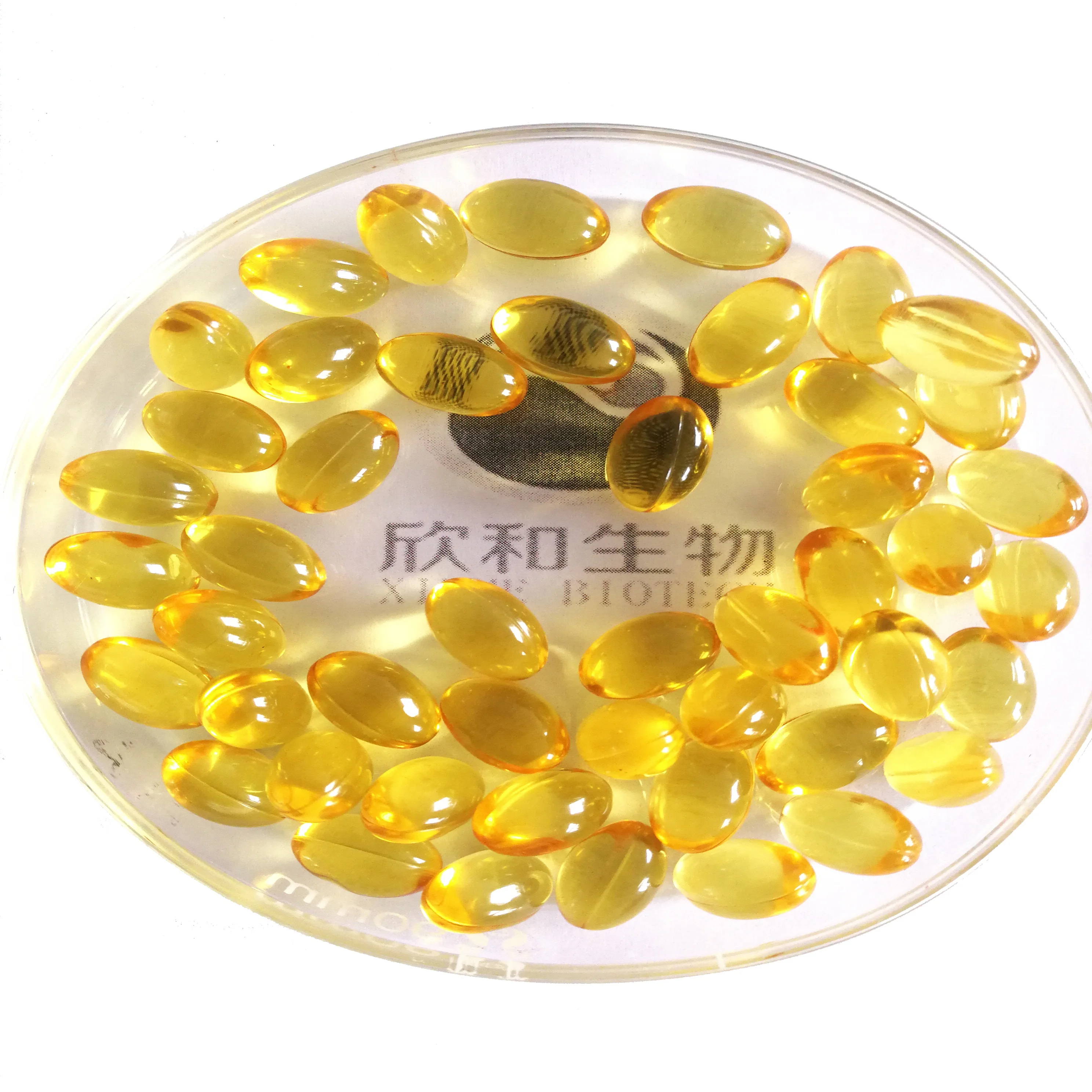 Improving Memory and Sleep Omega-6 softgel capsule Arachidonic Fatty Acid 45% Algal ARA Oil