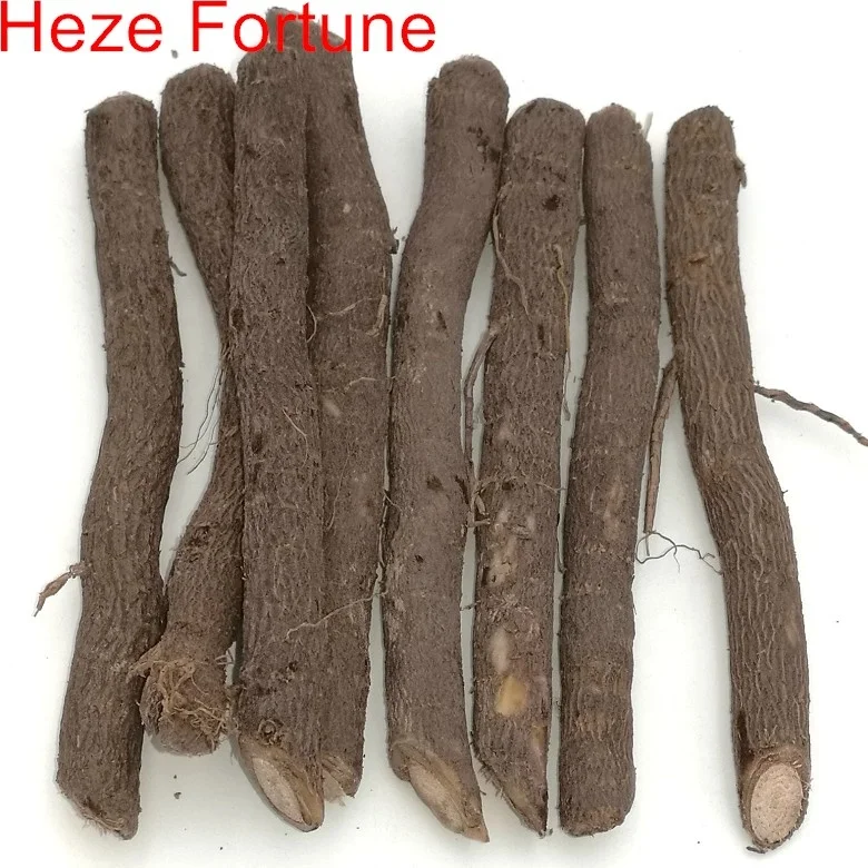 Устойчивые к холоду корни Paulownai Z07