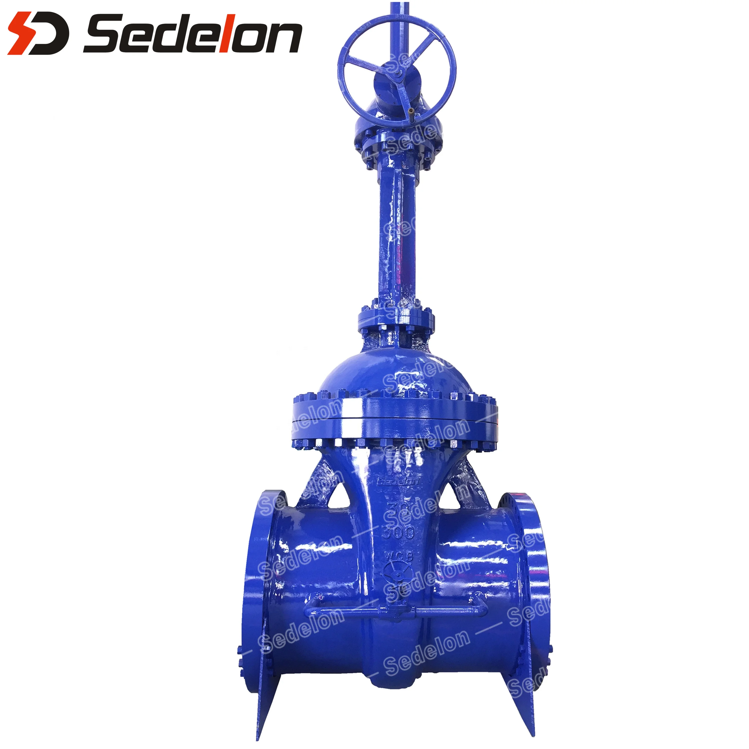 
API Gate Valve With Bypass Gear Operated 