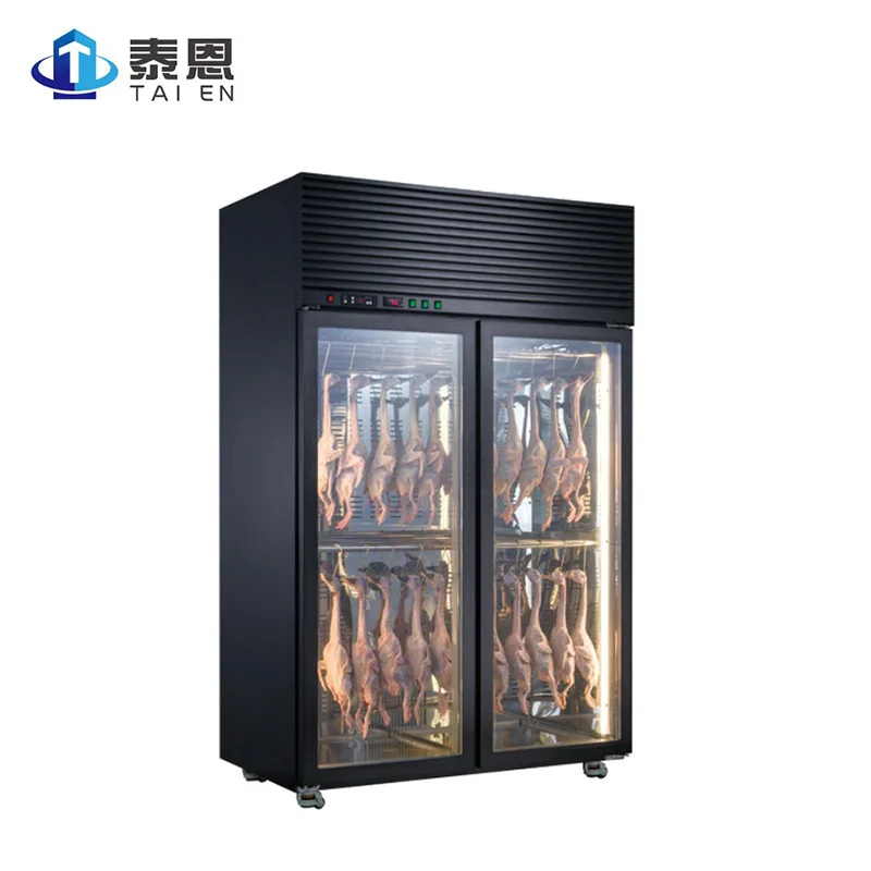 
Beef Steak Sour Acid Drying Freezing Cabinet Freezer Meat Dry Aging Machine 